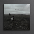 The Search | NF