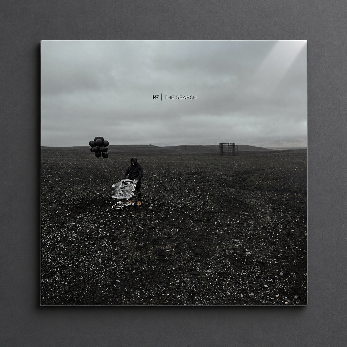 The Search | NF